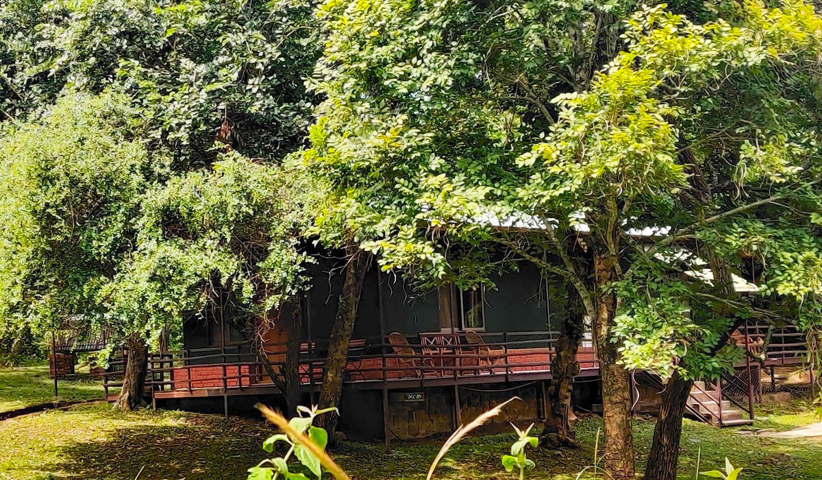 masinahousefrontview