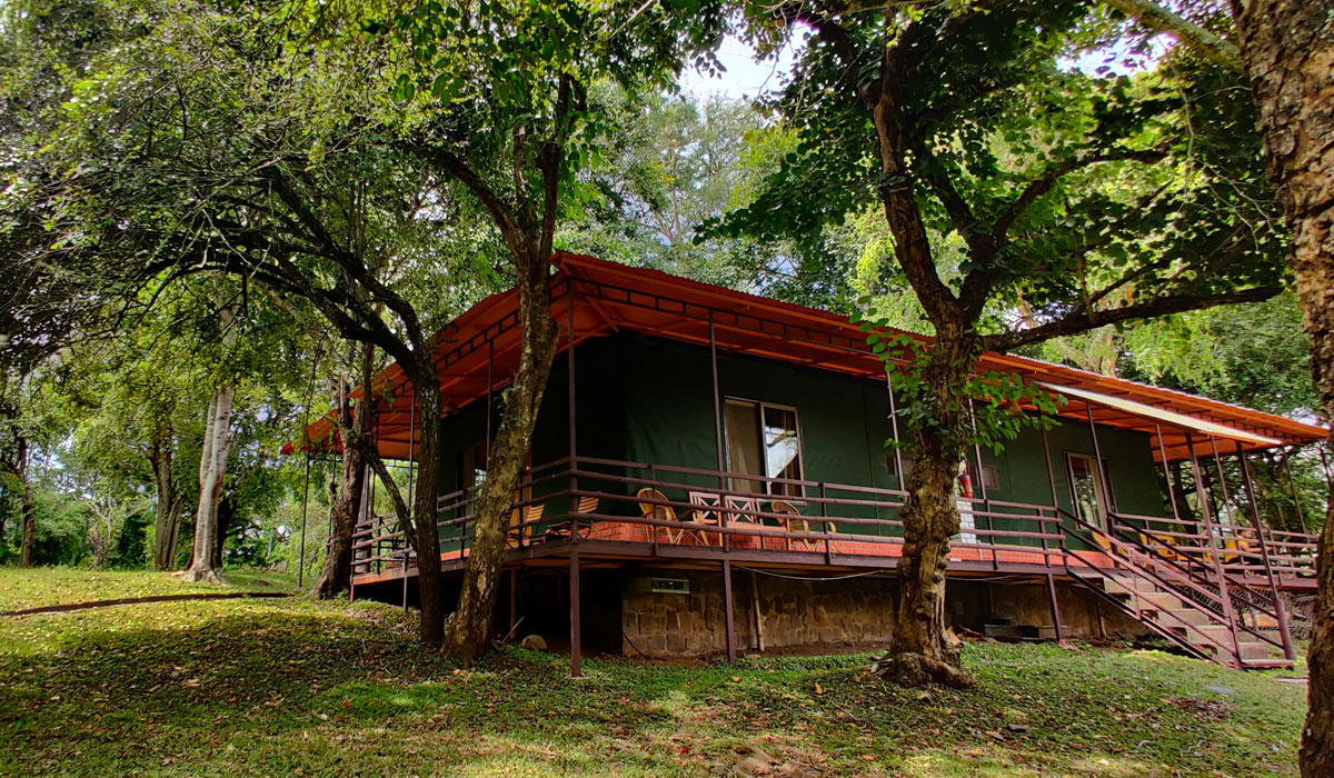 masinahousefrontview2