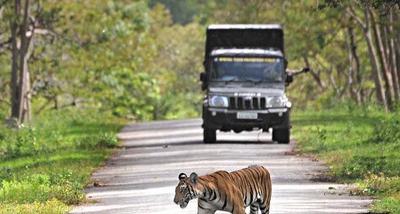 nagarhole